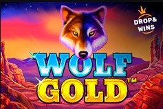 Онлайн видео слот Wolf Gold (Pragmatic Play)